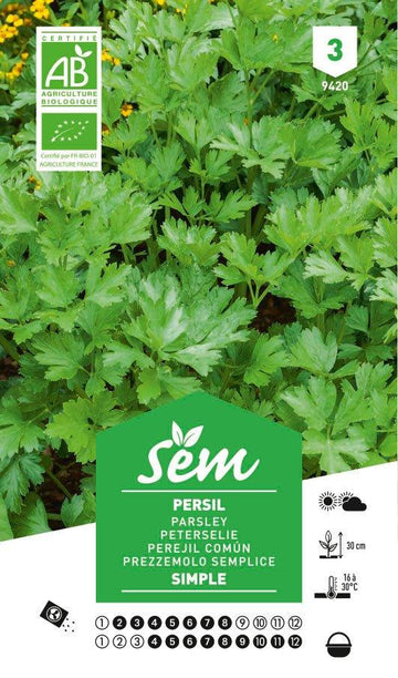 Graines de Persil Simple BIO