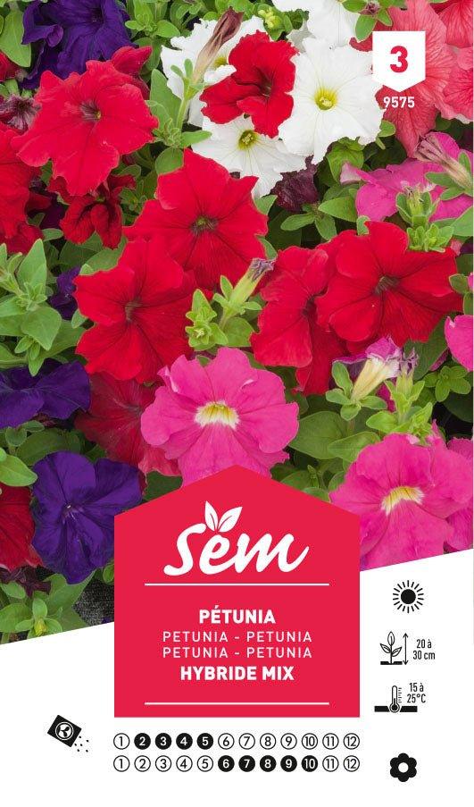 Graines de Pétunia Hybride Mix - FLEURANDIE