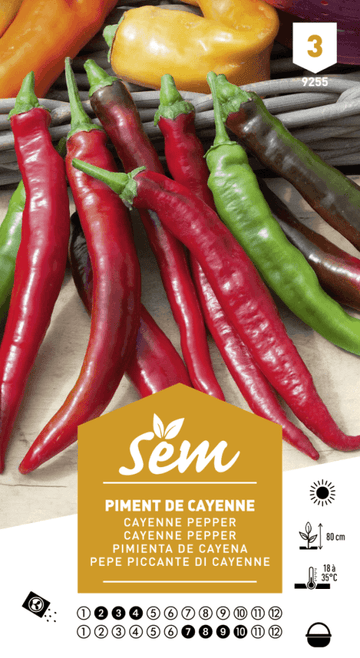 Graines de Piment De Cayenne - FLEURANDIE