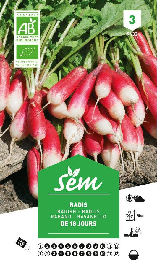 Graines De Radis œufs Mixte - 50 Graines, Récolte En 3-4 Semaines, Couleurs Variées, Facile à Cultiver En Pot Ou Pleine Terre