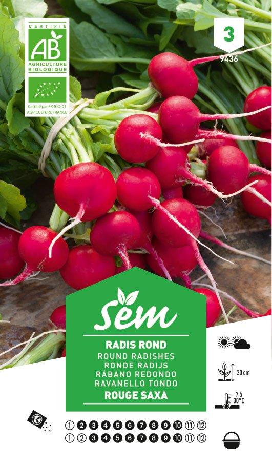 Graines de Radis Rond Rouge Saxa BIO - FLEURANDIE