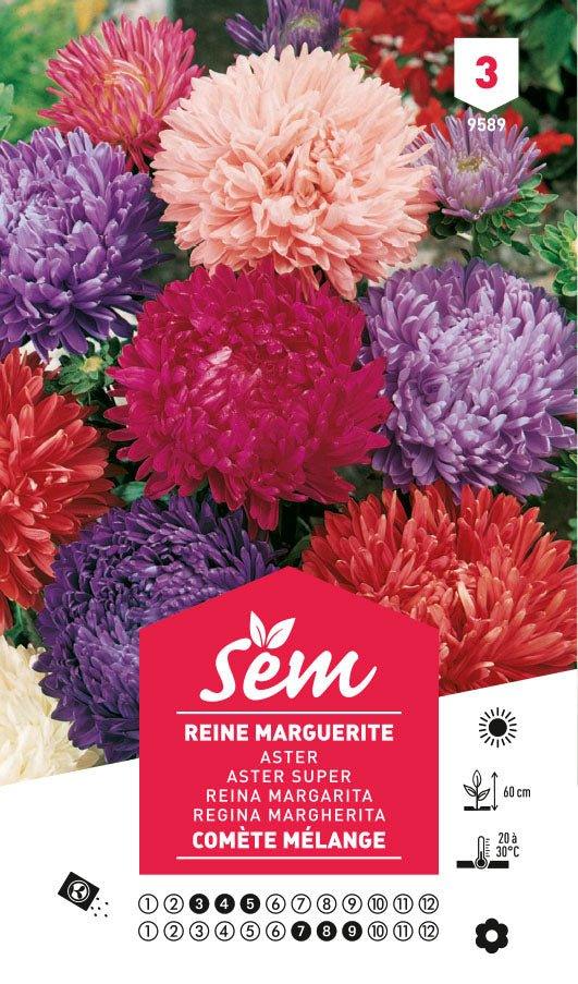 Graines de Reine Marguerite Comète Mélange - FLEURANDIE