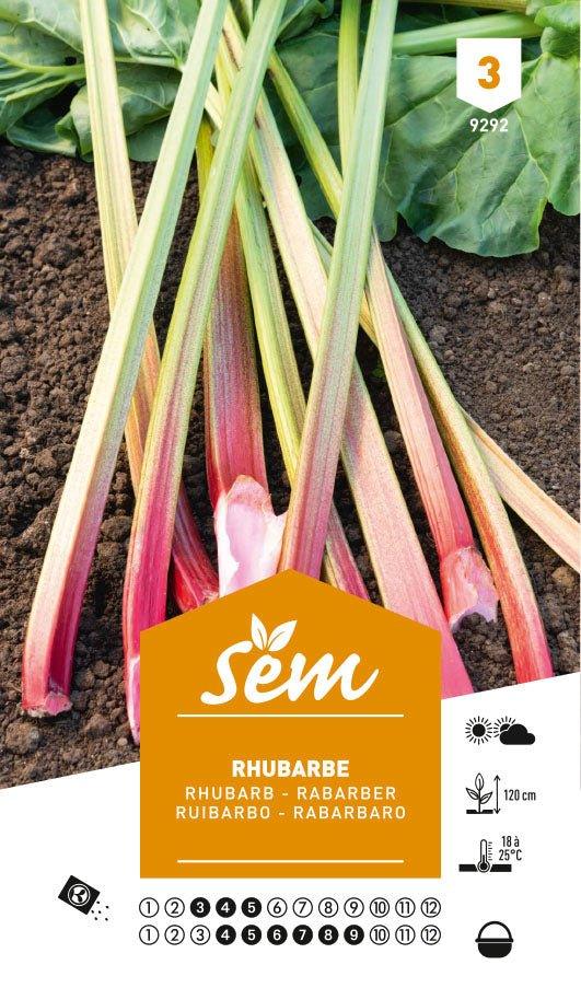 Graines de Rhubarbe - FLEURANDIE