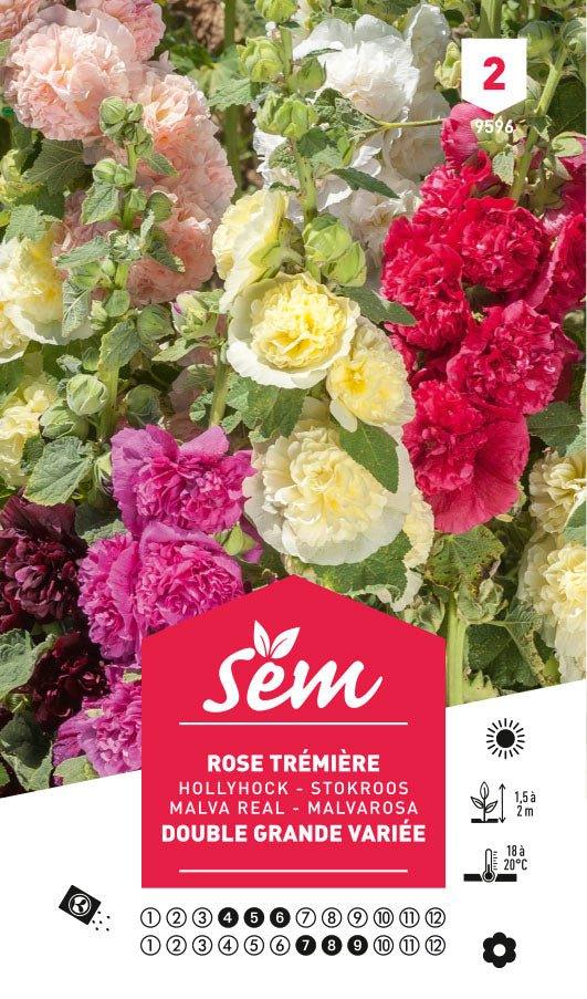 Graines de Rose Trémière Double Grande Variée - FLEURANDIE