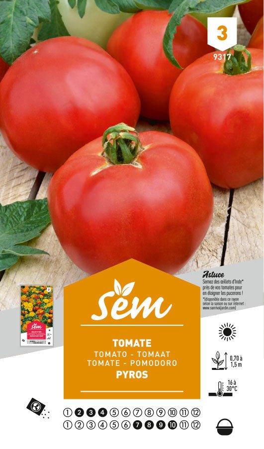 Graines de Tomate Pyros Hf1 - FLEURANDIE