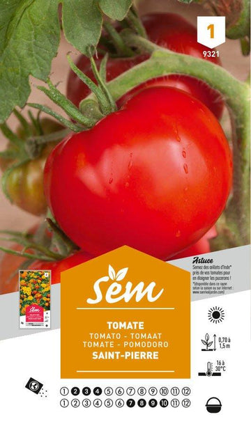 Graines de Tomate Saint-Pierre - FLEURANDIE