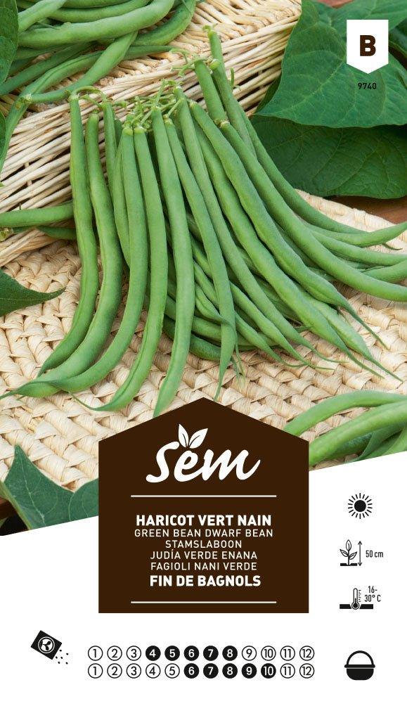 Haricot vert fin de bagnols - FLEURANDIE