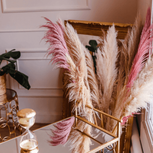 Herbe des pampas rose - Cortaderia selloana 'Rosea' - FLEURANDIE
