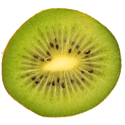 Kiwi auto-fertile, actinidier 'Jenny' - Actinidia chinensis 'Jenny' - FLEURANDIE