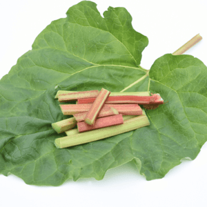 Rhubarbe - Rheum rhabarbarum - FLEURANDIE
